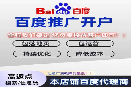 竞价广告与自然搜索的结合策略：XX网站的案例分析